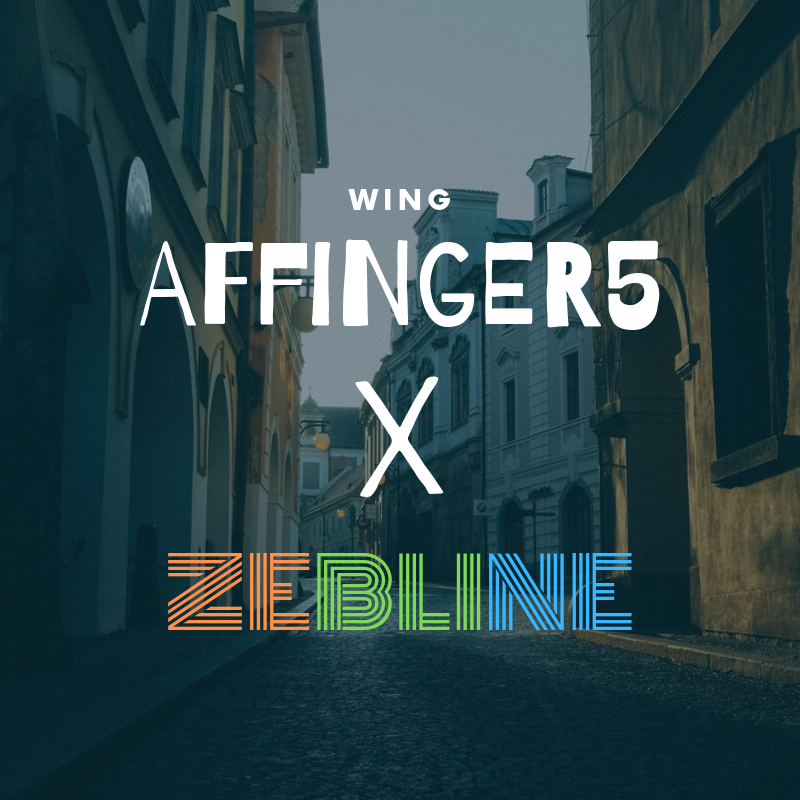 AFFINGER5でZEBLINEは使える